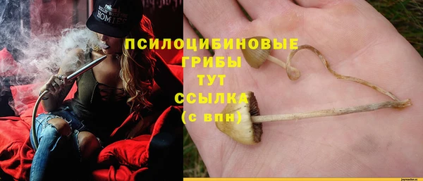 spice Володарск