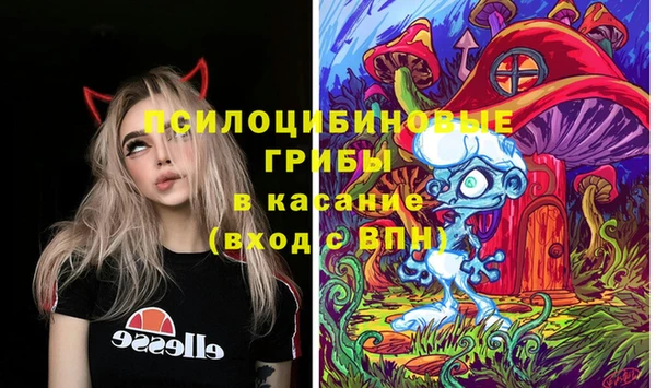spice Володарск